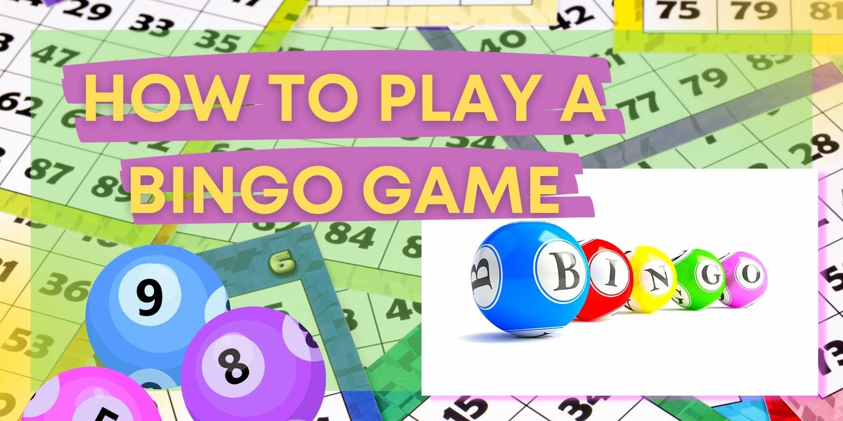 bingo how to play