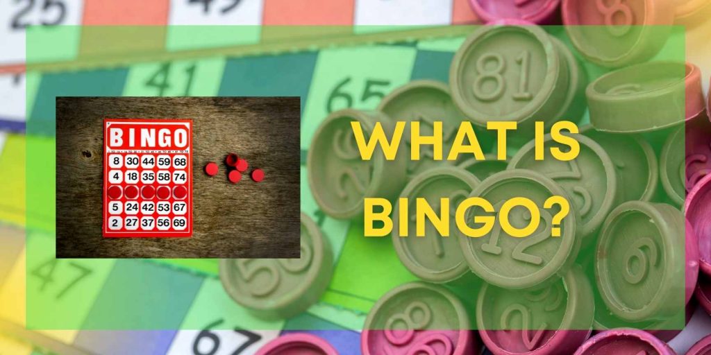 Bingo is a simple, easy to learn, and fun game of chance